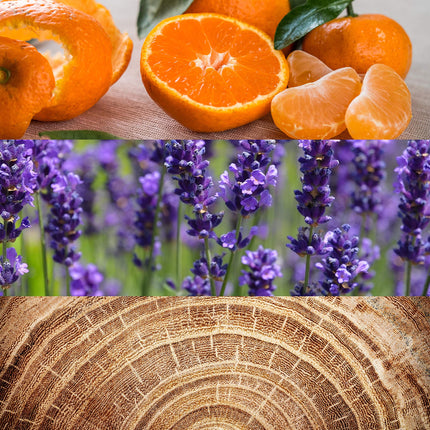 Calvin Klein Obsession Men's Eau de Toilette 6.7 fl oz